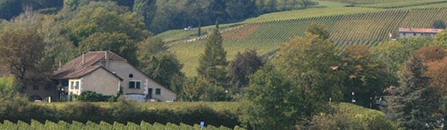 Clos de la Donzelle