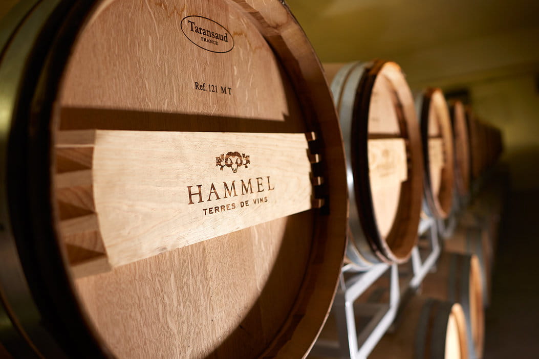 Clos du Chatelard, Charles Rolaz, Hammel - Terres de Vins