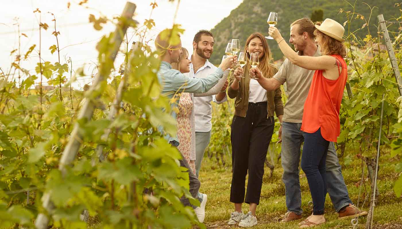 Clos du Rocher