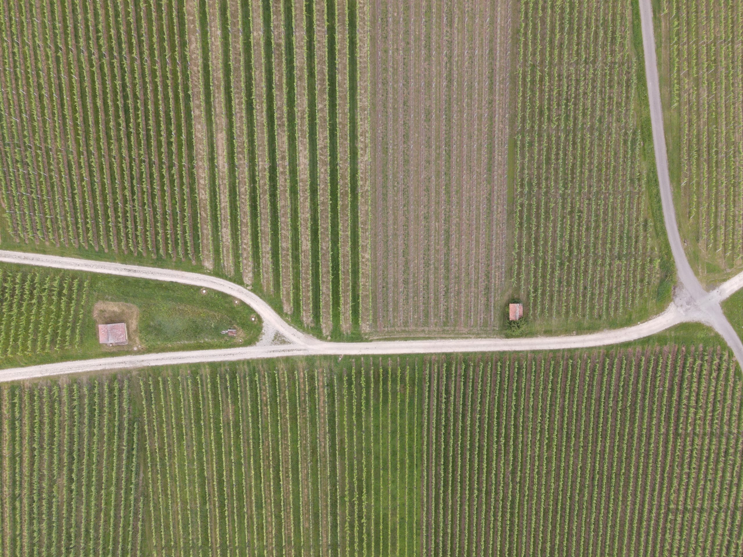 Domaine Bösch Weinbau u. Catering