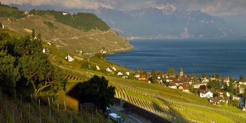 Domaine Genevaz