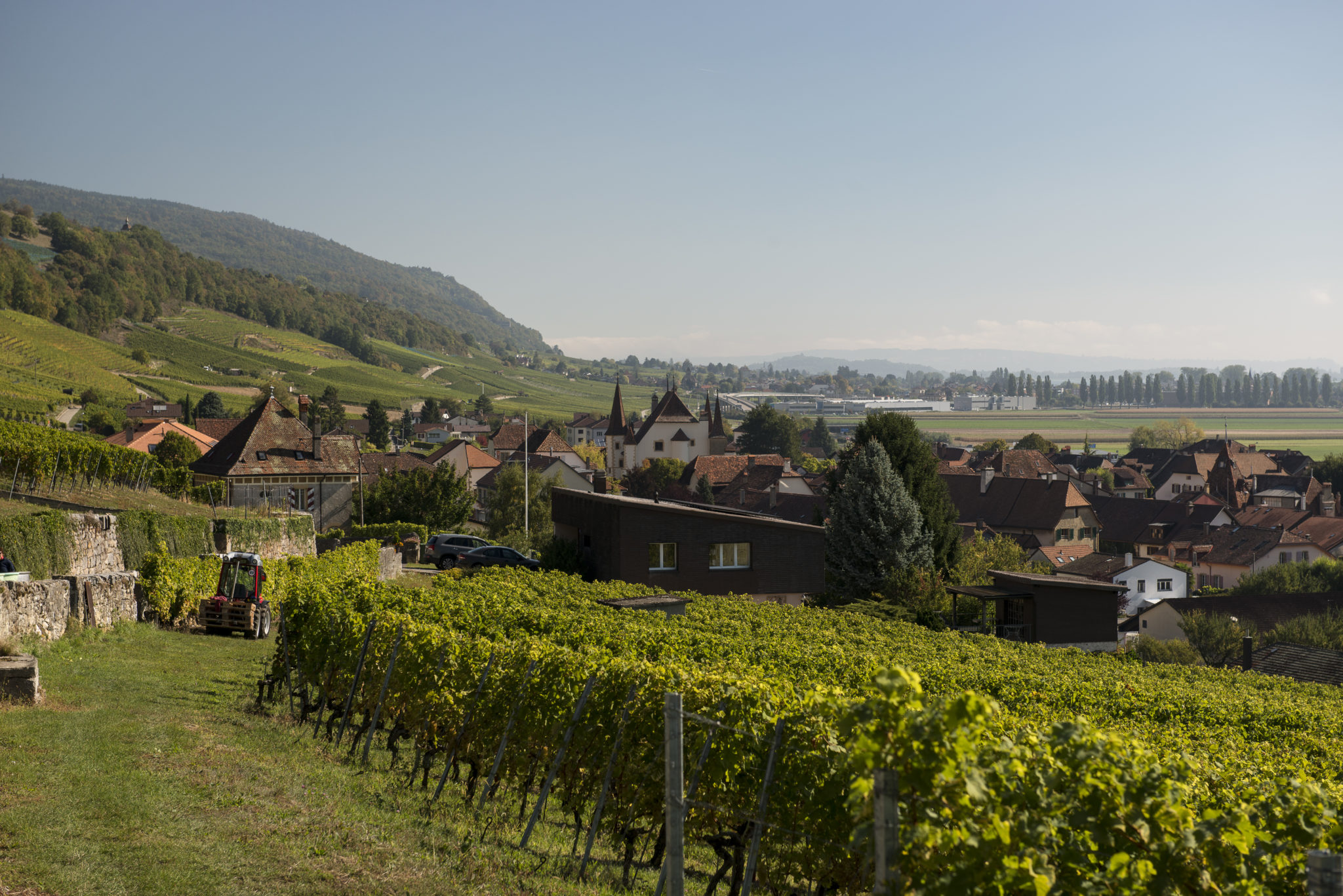 Domaine Grisoni
