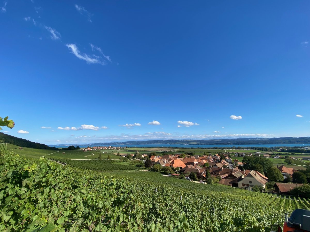 Domaine La Boulaz