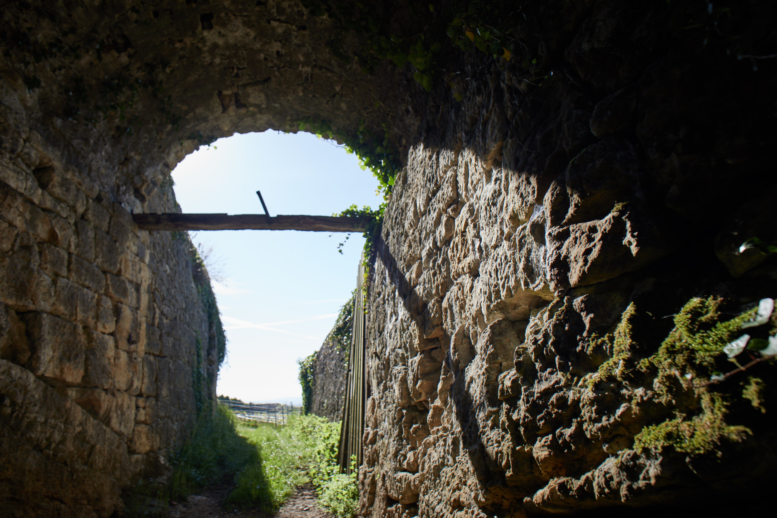 Domaine Saint-Sebaste