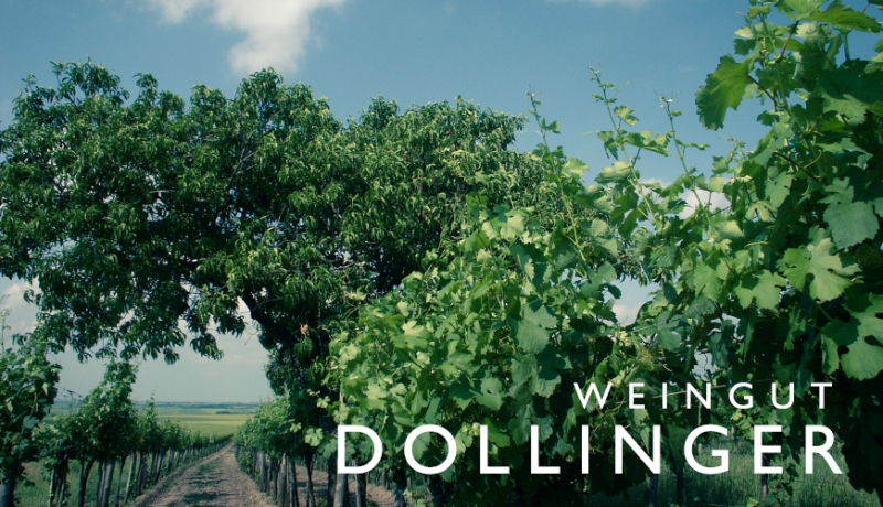 Dollinger