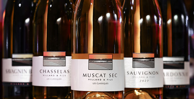 Domaine Villard & Fils