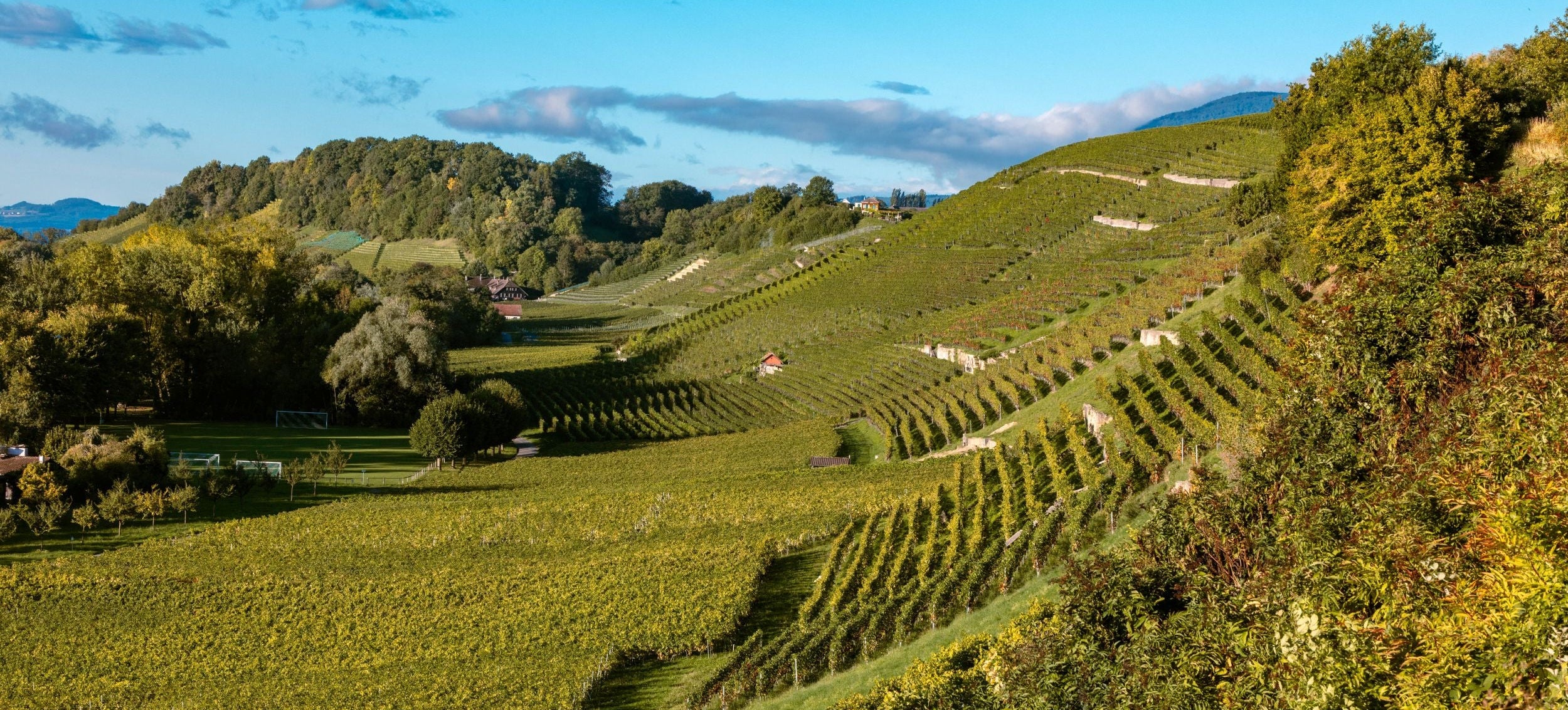 Domaine Vin du Diable