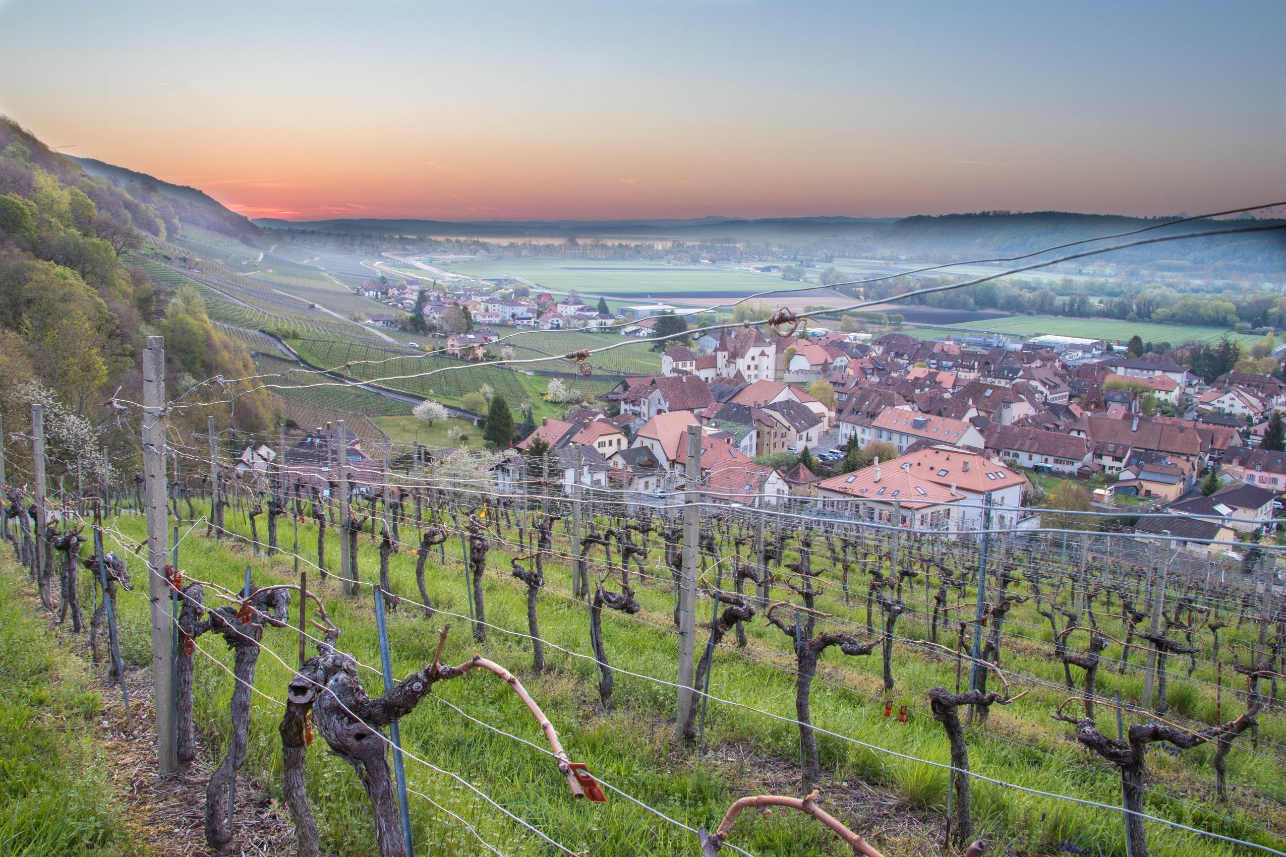 Domaine de Hopital Pourtales