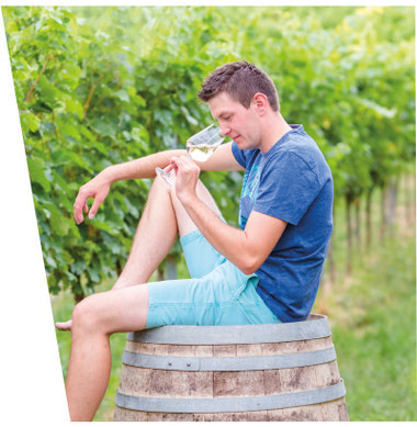Bioweingut Schober