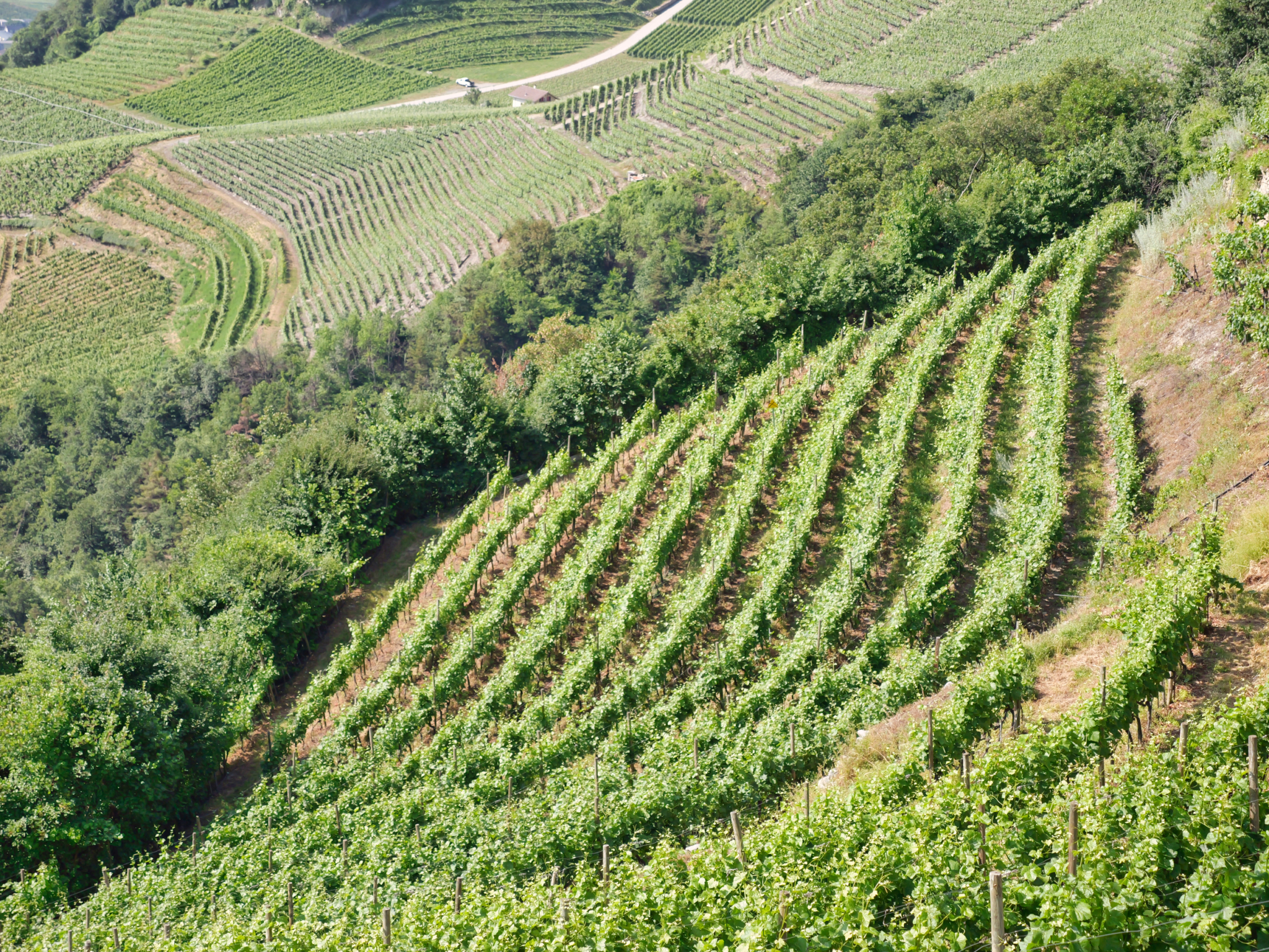 Domaine de Ravoire AG