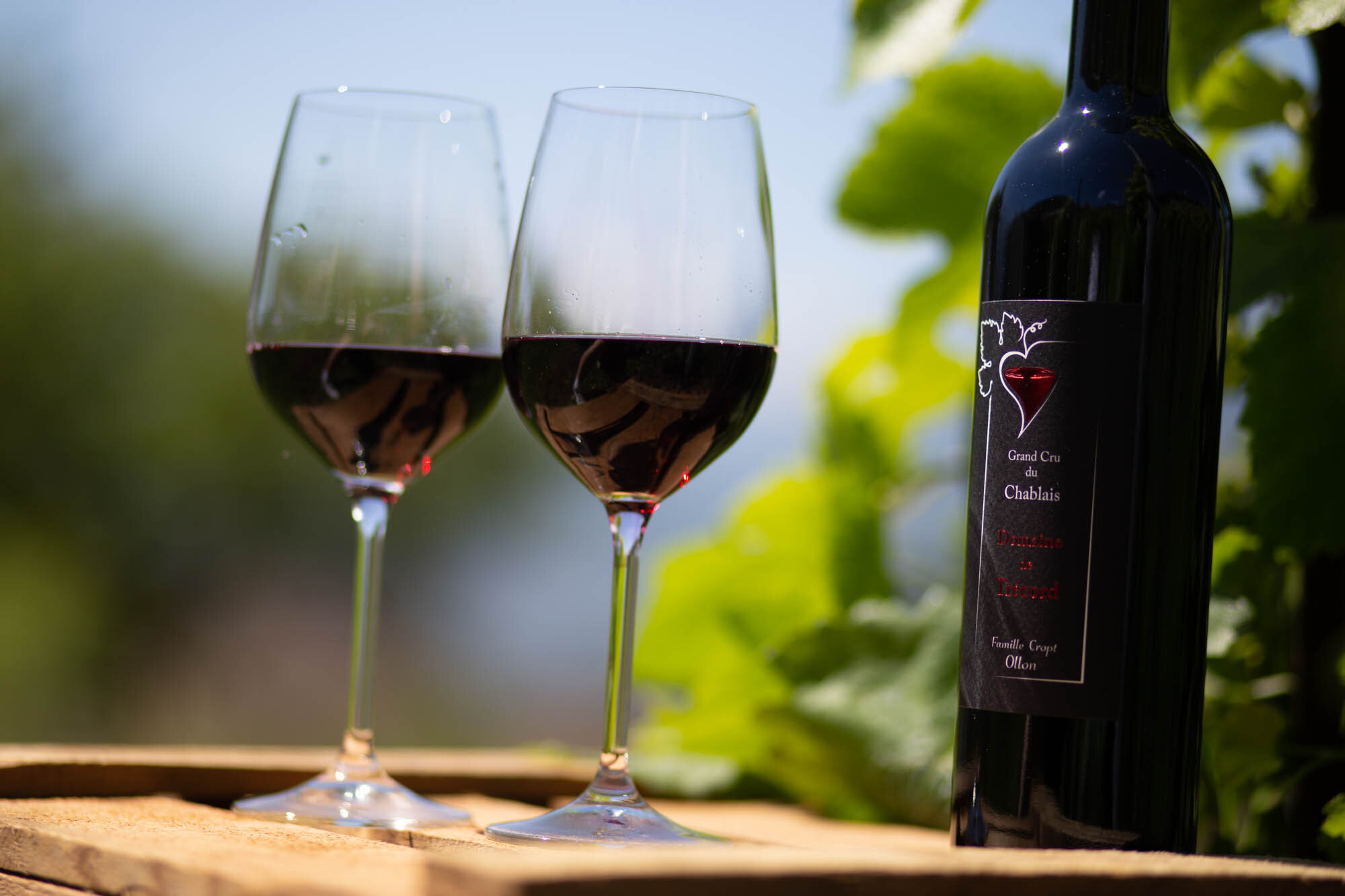 Domaine de Trecord, Harald Cropt