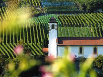 Domaine de Villarose