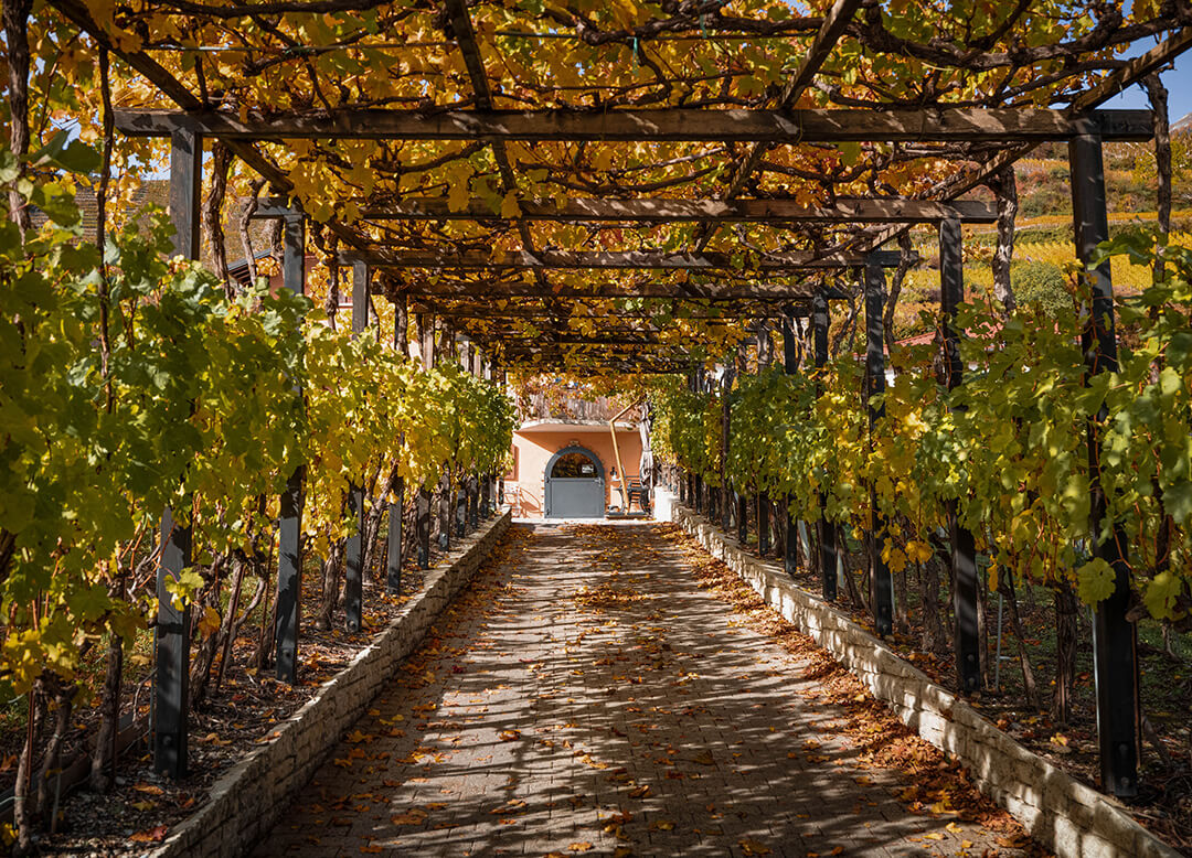 Domaine de l'Enfer