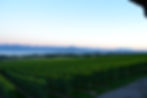 Domaine de la Vissenche