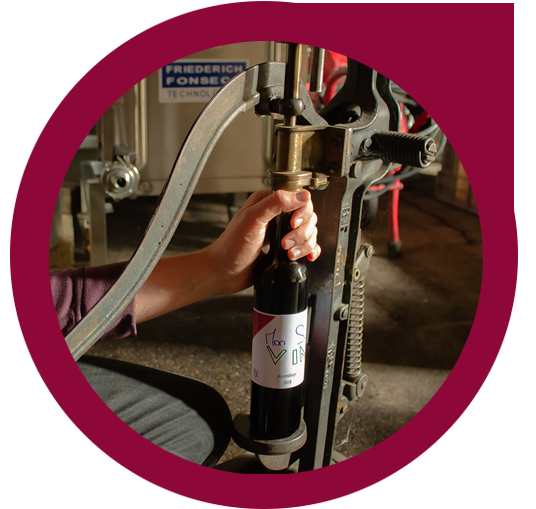 Domaine des Esserts