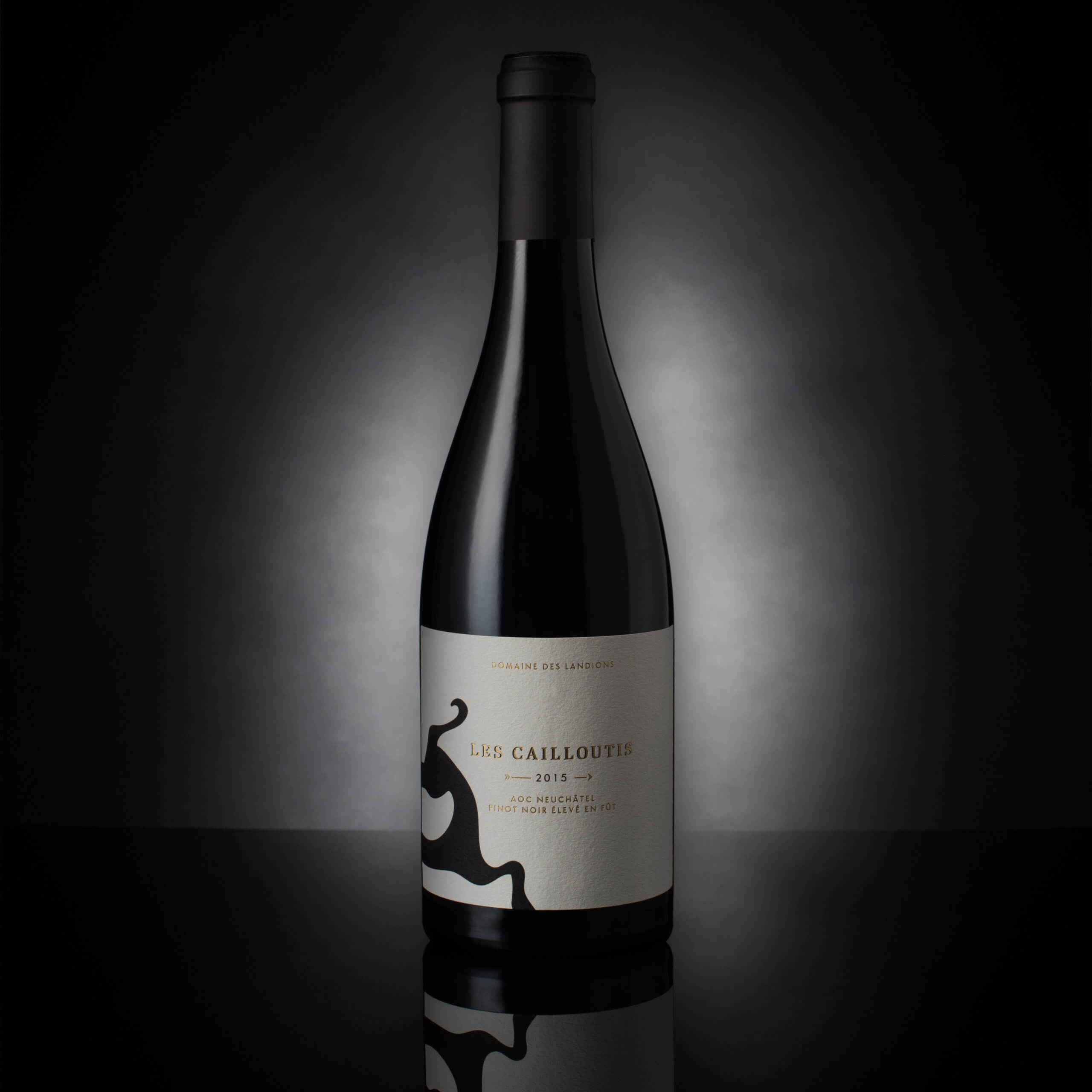 Domaine des Landions