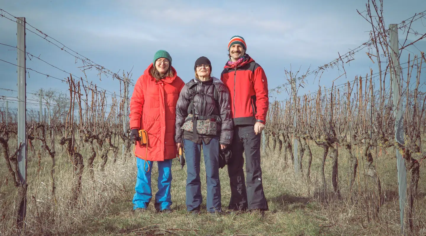 Hammer Wein Rust