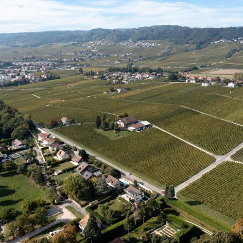 Domaine du Feuillerage