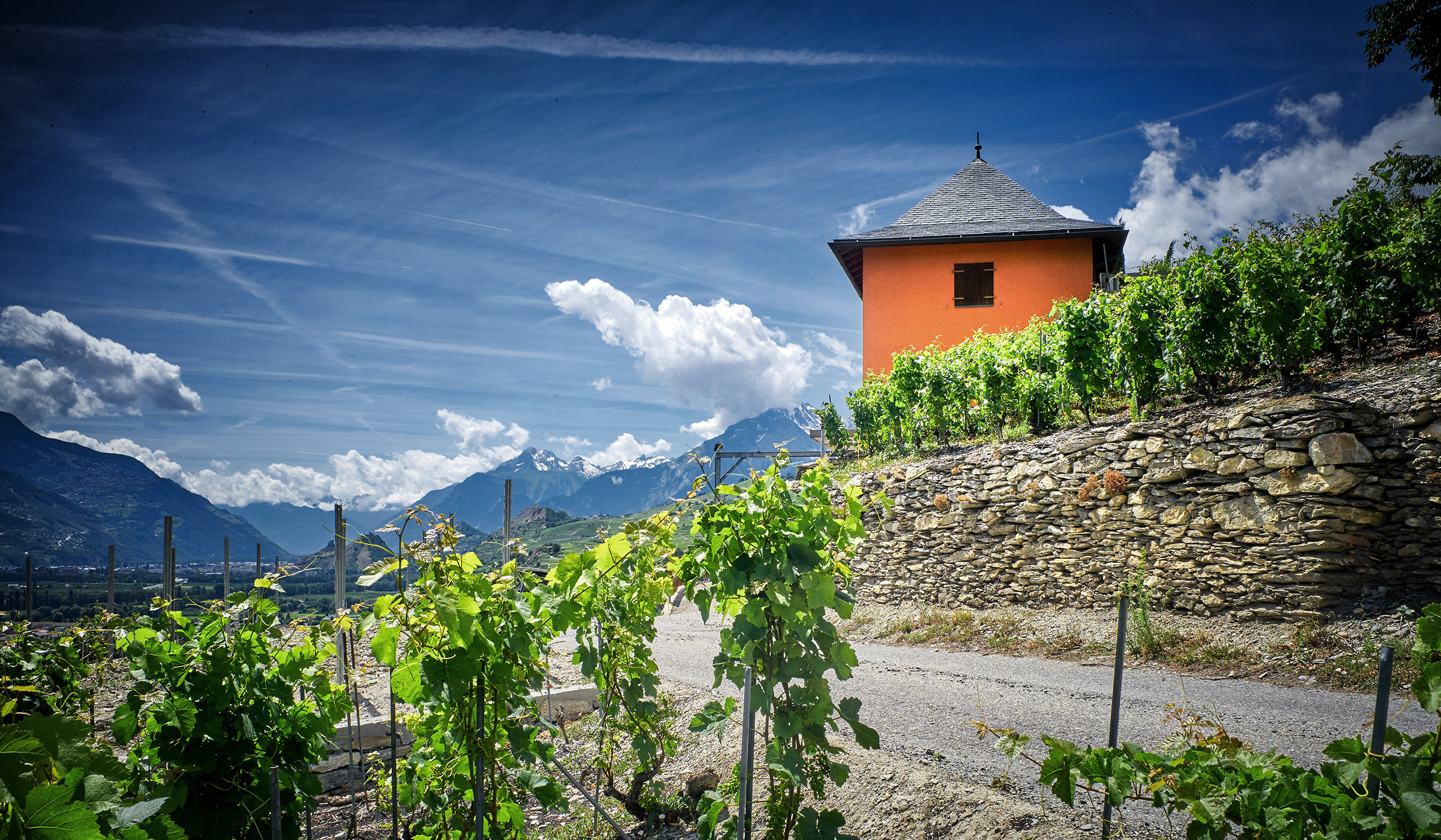 Domaines des Virets