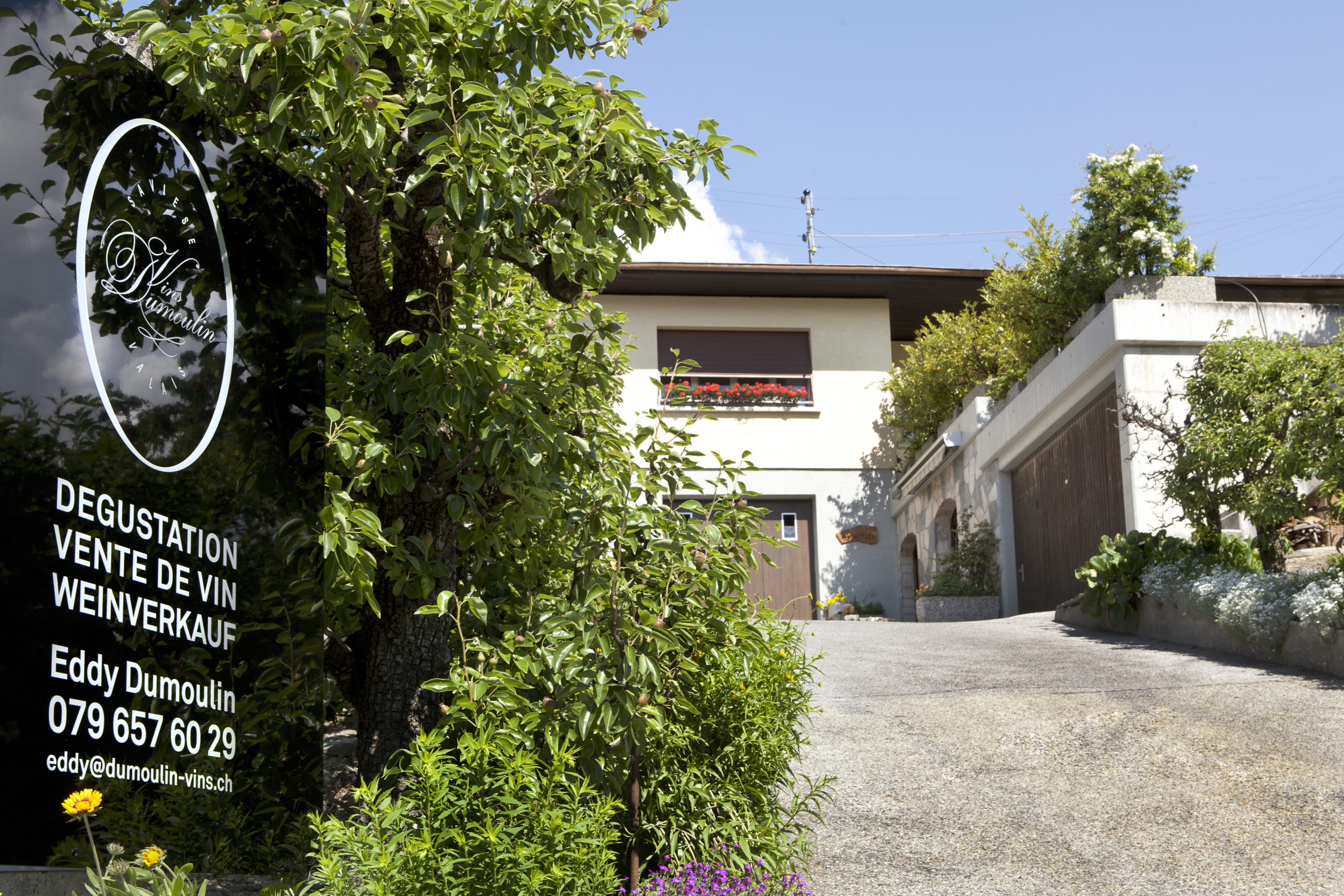 Dumoulin Vins