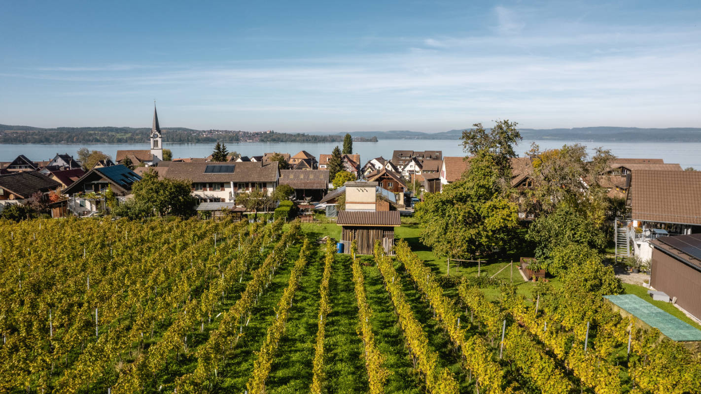Füllmann Wein