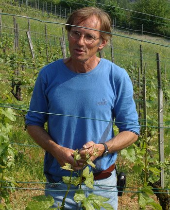 Gaus Weinbau