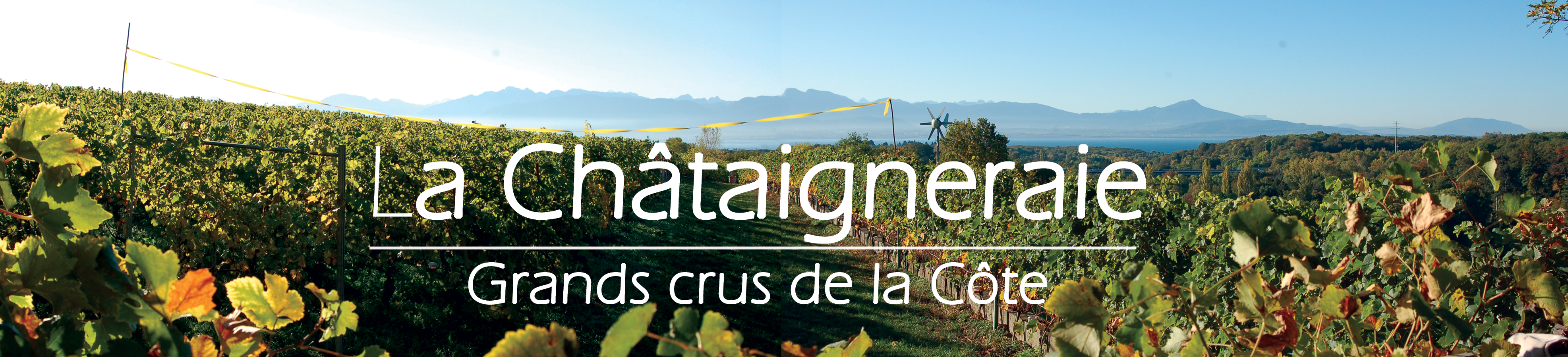 La Chataigneraie