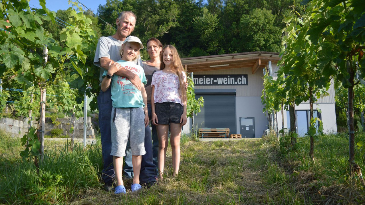 Meier Wein