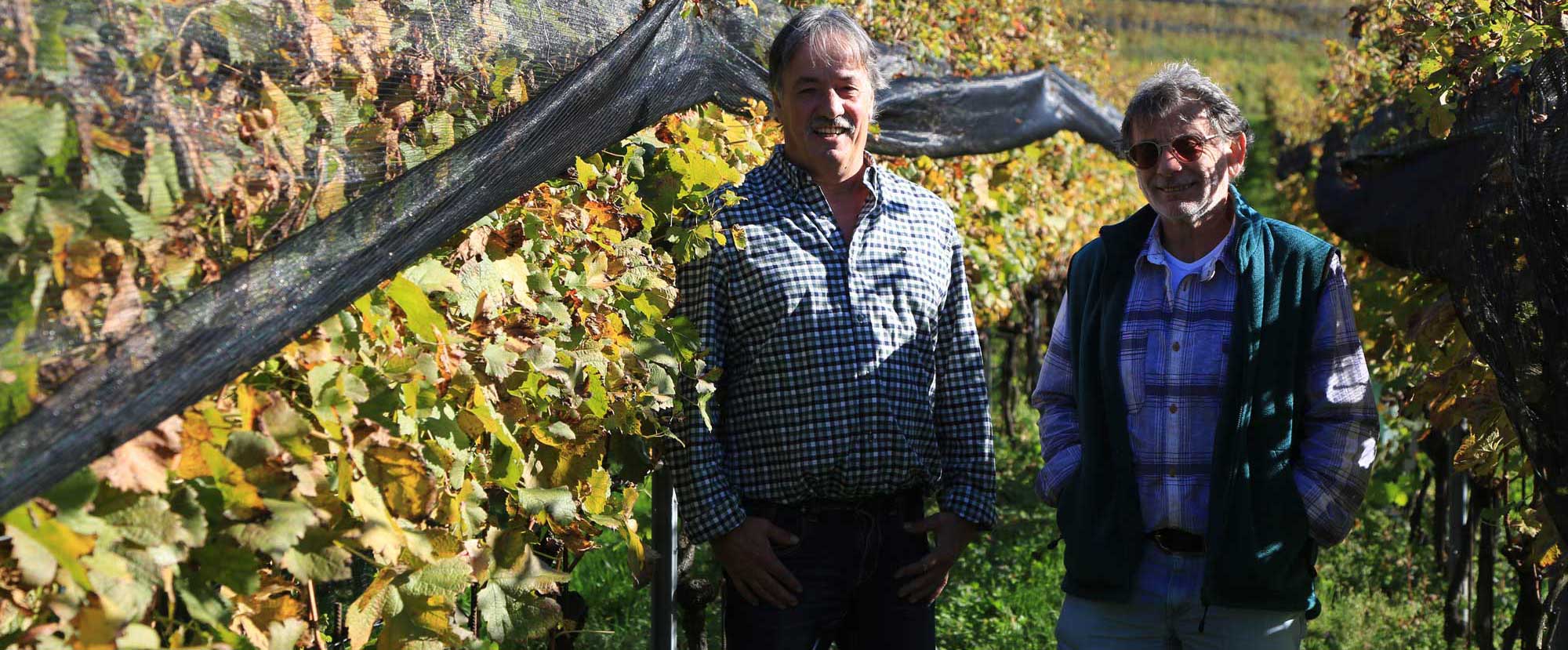Piccola Vigna
