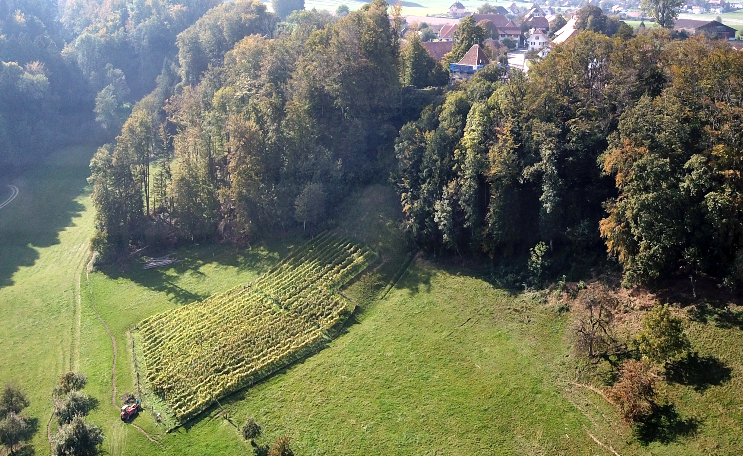 Rebbau-Genossenschaft Kibberg-Schlössli
