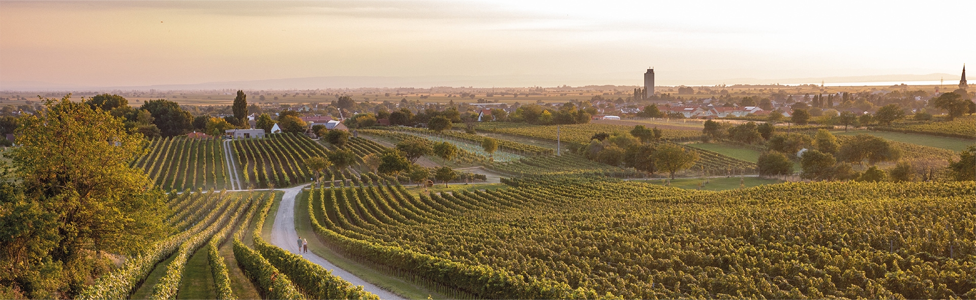 Moser Weine GmbH