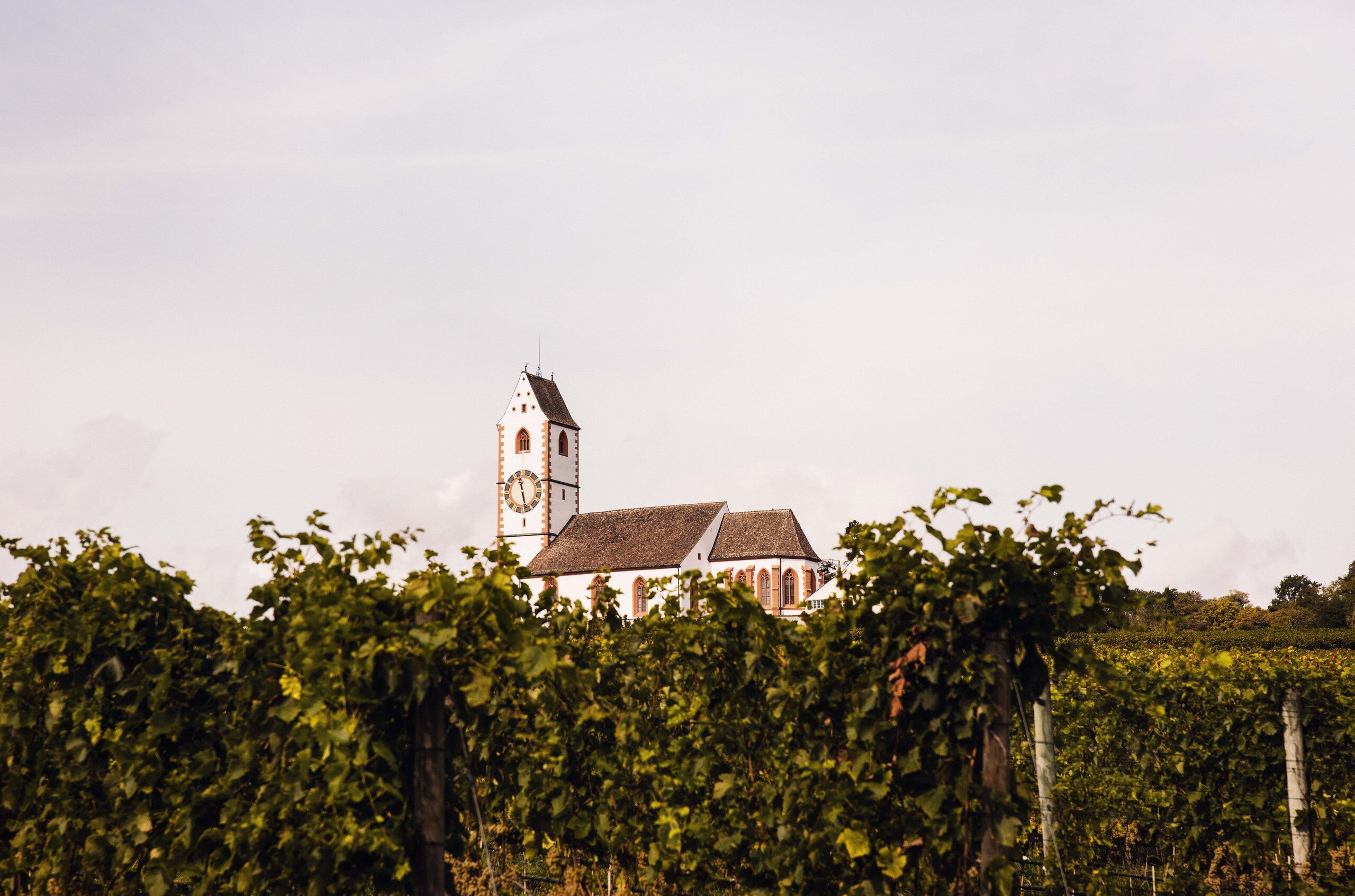 Rimuss & Strada Wein AG