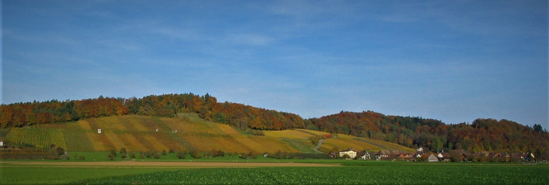 Schenk Weinbau zur Trotte Rudolfingen