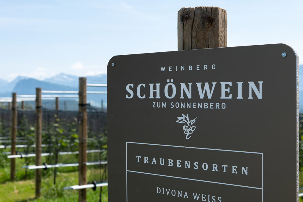 Schönwein GmbH
