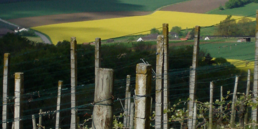 Staatsdomäne Kalchrain