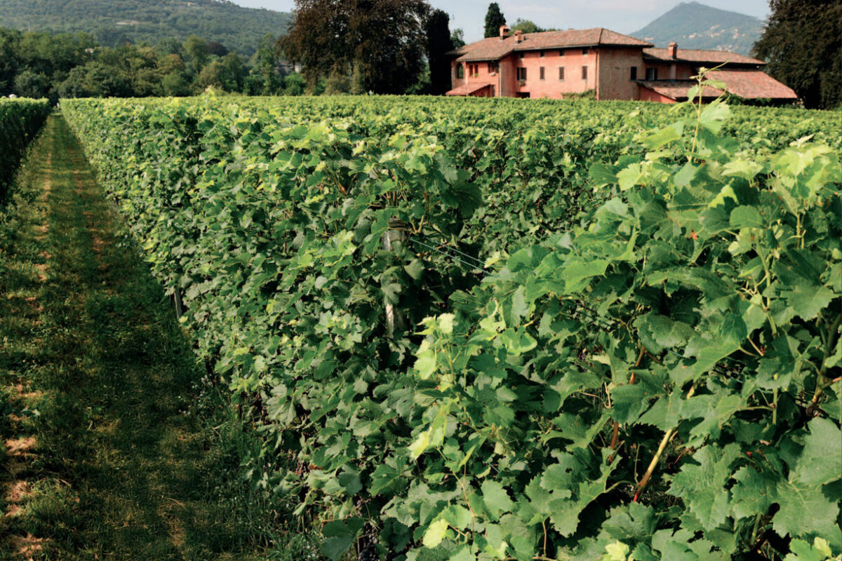 Tenuta Bally & von Teufenstein