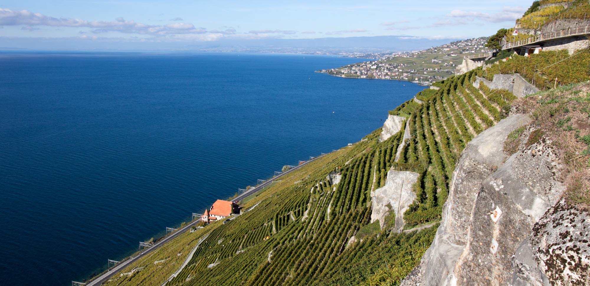 Terres de Lavaux