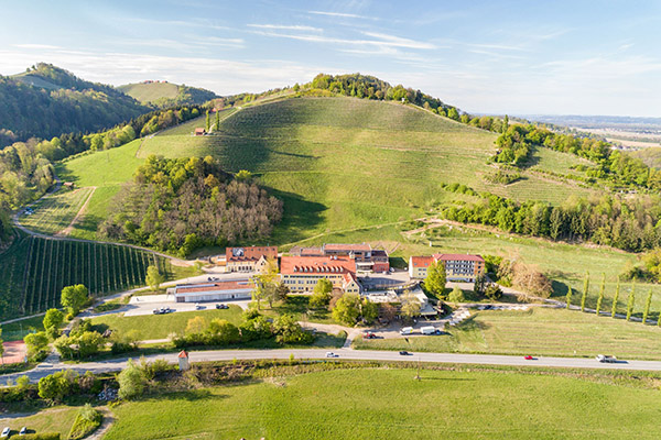 Silberberg Landesweingut
