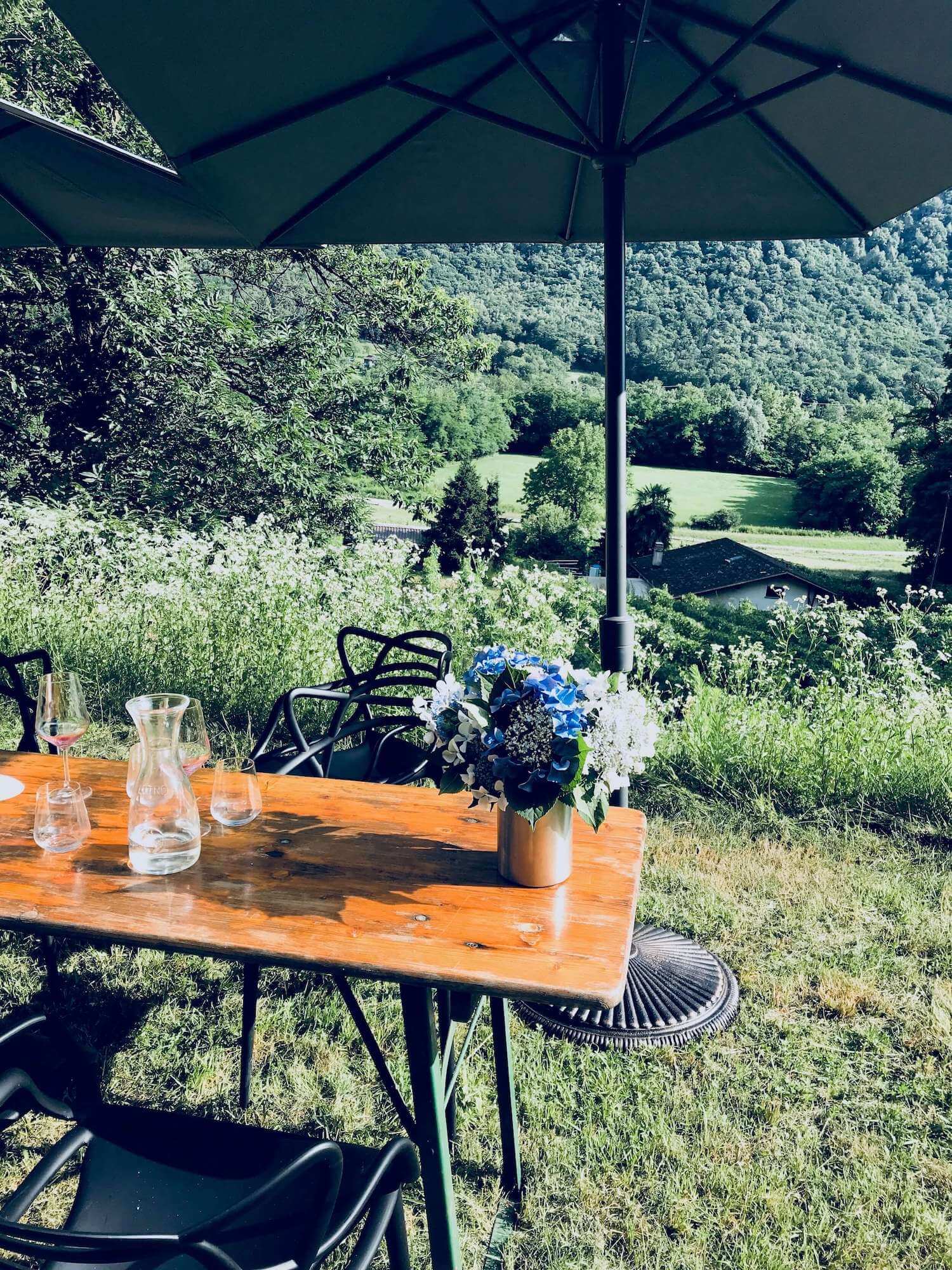 Viticoltura e Vini Rohner Erni GmbH