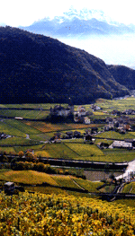 Waldvogel & Fils SA