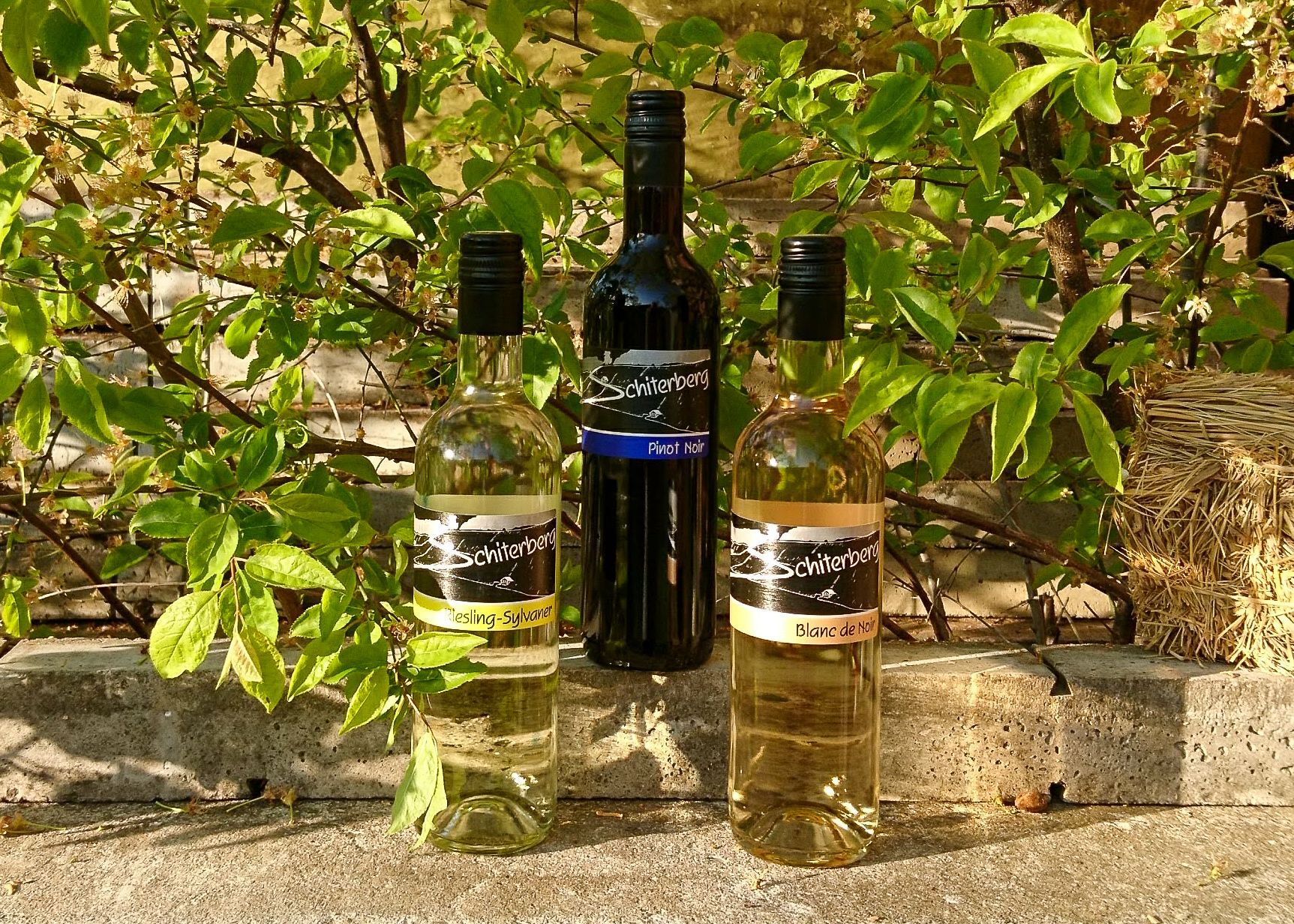 Weinbau Familie Brunner