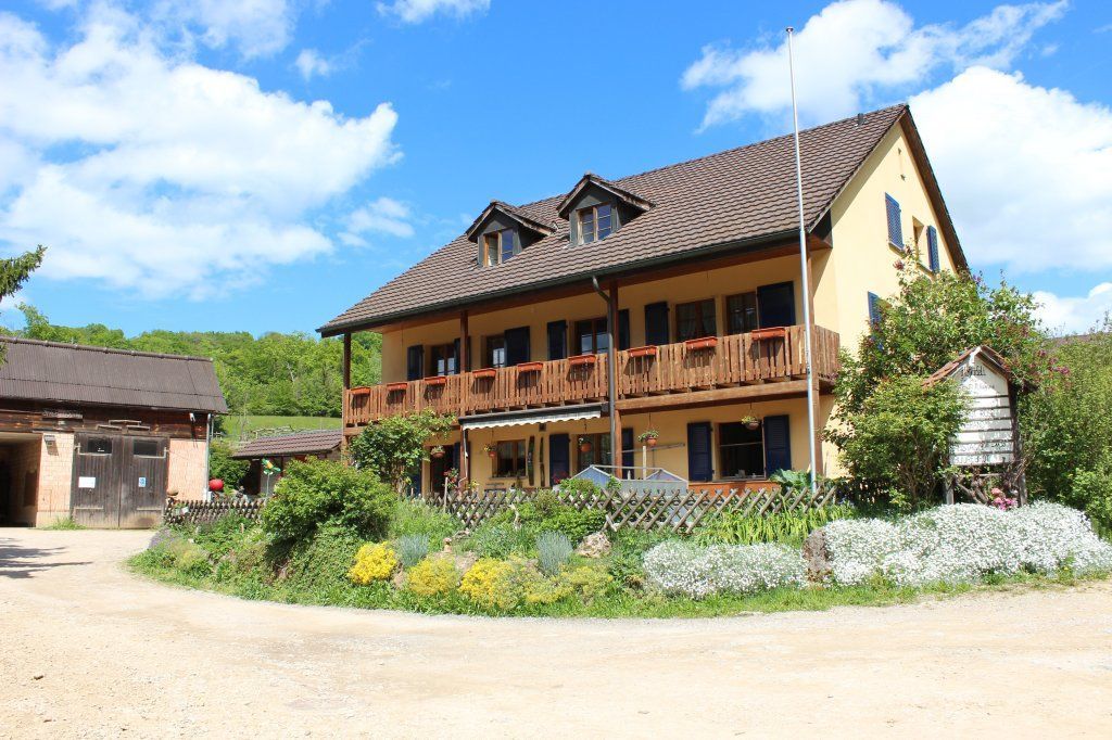 Weinbau Kaufmann