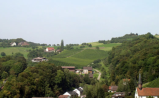 Weinbau Löw