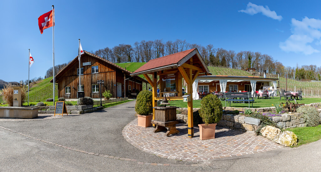Weinbau Monika Fanti