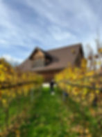 Weinbau Winzingen