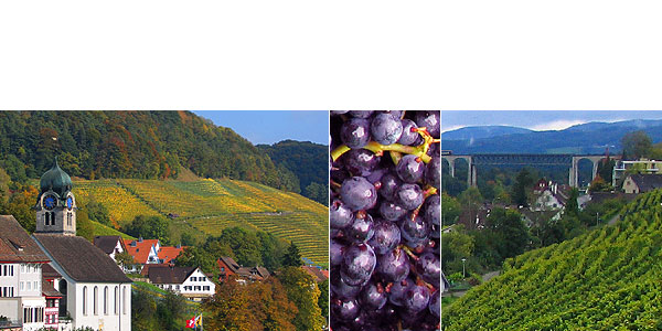 Weinbaugenossenschaft Eglisau