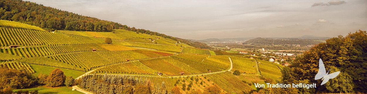 Weinbaugenossenschaft Schinznach
