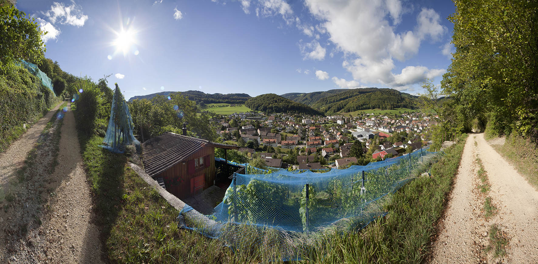 Weinbauverein Dielenberg