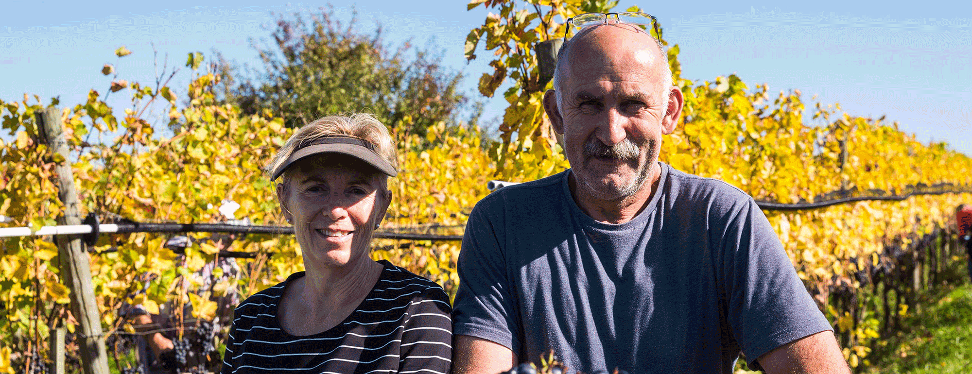 Weingut Baur