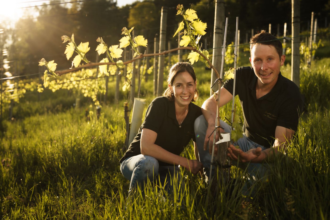 Weingut Berghof